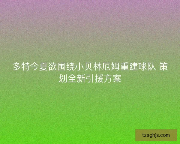 多特今夏欲围绕小贝林厄姆重建球队 策划全新引援方案